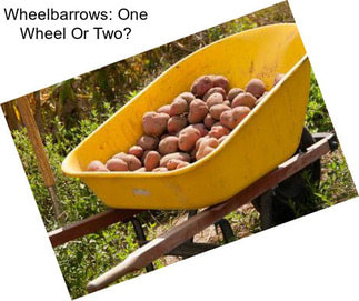 Wheelbarrows: One Wheel Or Two?