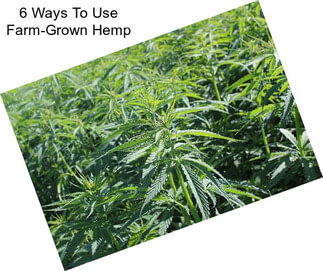 6 Ways To Use Farm-Grown Hemp