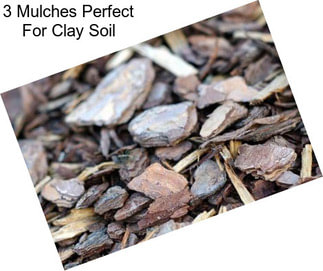 3 Mulches Perfect For Clay Soil