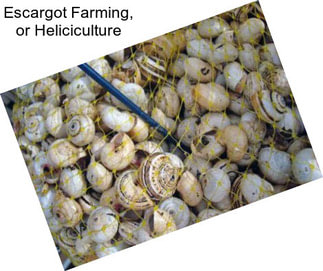 Escargot Farming, or Heliciculture