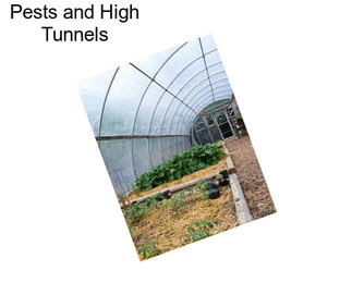 Pests and High Tunnels