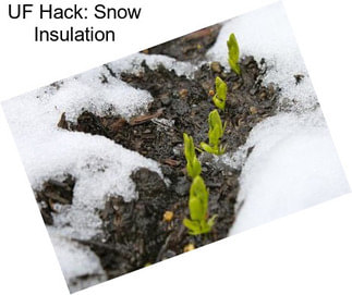 UF Hack: Snow Insulation
