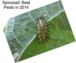 Spinosad: Beat Pests in 2014