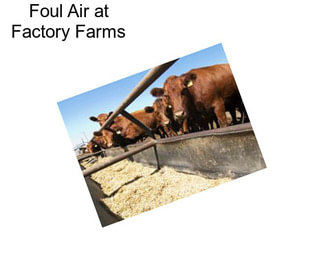 Foul Air at Factory Farms