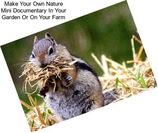 Make Your Own Nature Mini Documentary In Your Garden Or On Your Farm