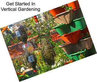 Get Started In Vertical Gardening