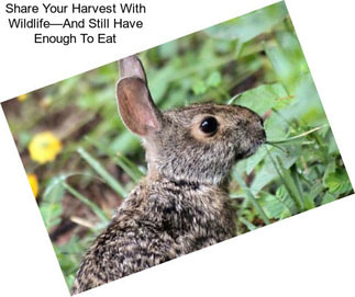 Share Your Harvest With Wildlife—And Still Have Enough To Eat