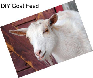 DIY Goat Feed