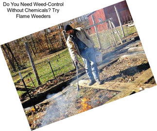 Do You Need Weed-Control Without Chemicals? Try Flame Weeders