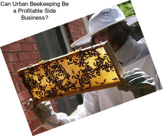 Can Urban Beekeeping Be a Profitable Side Business?