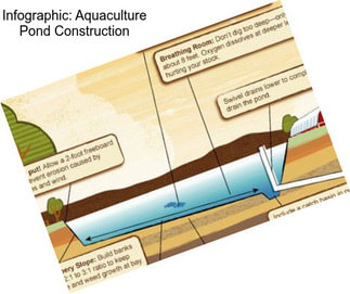 Infographic: Aquaculture Pond Construction