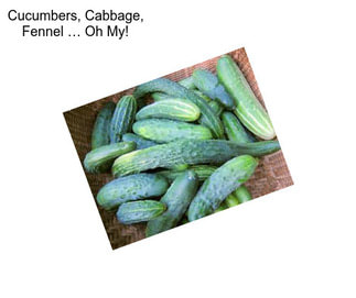 Cucumbers, Cabbage, Fennel … Oh My!