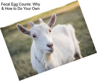 Fecal Egg Counts: Why & How to Do Your Own