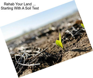 Rehab Your Land ... Starting With A Soil Test