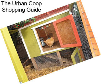 The Urban Coop Shopping Guide