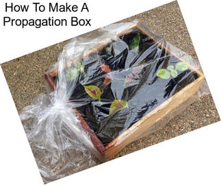 How To Make A Propagation Box