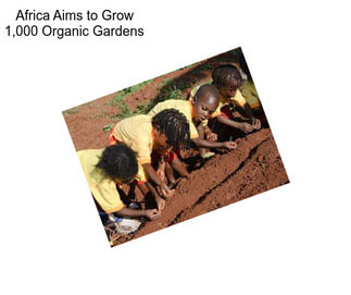 Africa Aims to Grow 1,000 Organic Gardens