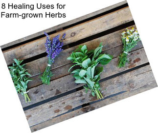 8 Healing Uses for Farm-grown Herbs