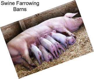 Swine Farrowing Barns