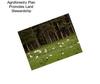 Agroforestry Plan Promotes Land Stewardship