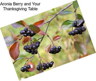 Aronia Berry and Your Thanksgiving Table