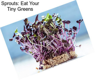 Sprouts: Eat Your Tiny Greens