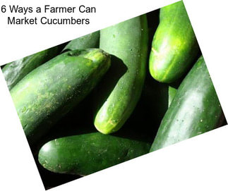 6 Ways a Farmer Can Market Cucumbers