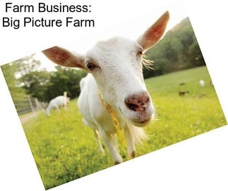 Farm Business: Big Picture Farm