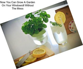 Now You Can Grow A Garden On Your Windowsill Without The Mess