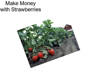 Make Money with Strawberries