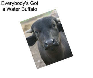 Everybody\'s Got a Water Buffalo