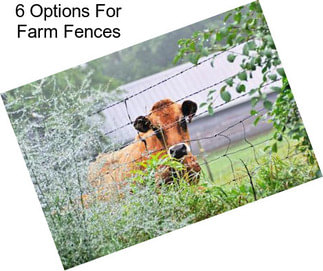 6 Options For Farm Fences
