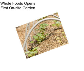 Whole Foods Opens First On-site Garden