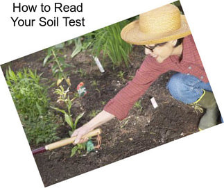 How to Read Your Soil Test