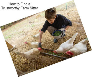 How to Find a Trustworthy Farm Sitter