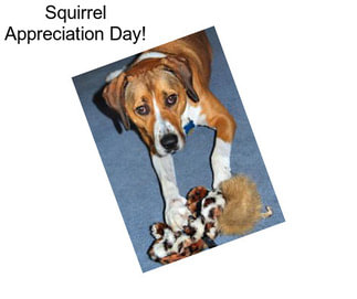 Squirrel Appreciation Day!