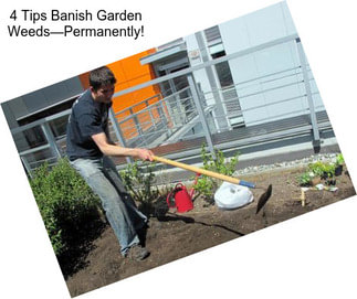 4 Tips Banish Garden Weeds—Permanently!