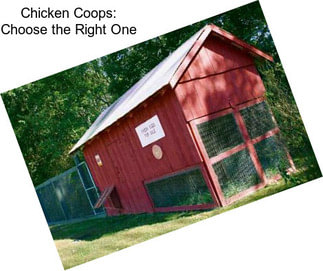 Chicken Coops: Choose the Right One