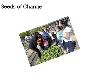 Seeds of Change