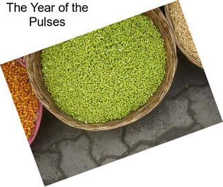 The Year of the Pulses