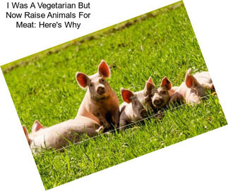 I Was A Vegetarian But Now Raise Animals For Meat: Here\'s Why