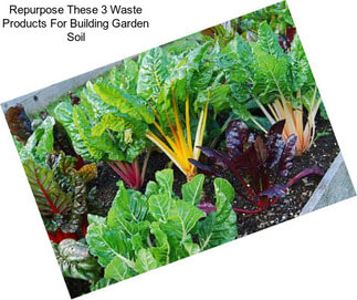Repurpose These 3 Waste Products For Building Garden Soil