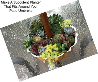 Make A Succulent Planter That Fits Around Your Patio Umbrella