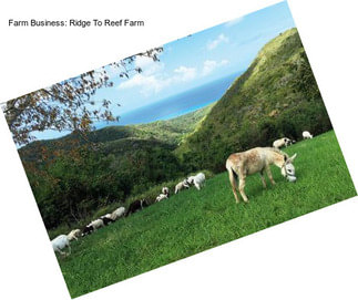 Farm Business: Ridge To Reef Farm