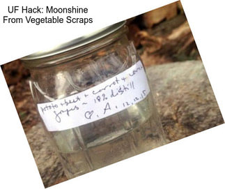 UF Hack: Moonshine From Vegetable Scraps