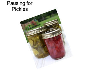 Pausing for Pickles
