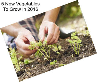 5 New Vegetables To Grow In 2016