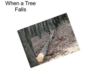 When a Tree Falls