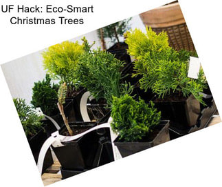 UF Hack: Eco-Smart Christmas Trees