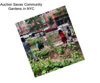 Auction Saves Community Gardens in NYC